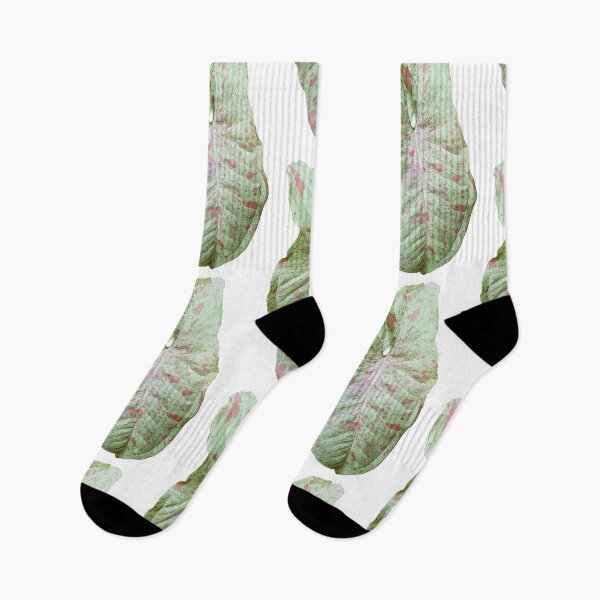 Item preview, Unique and organic photo of a Syngonium Milk Confetti 4 designed and sold by AvonPerception.
