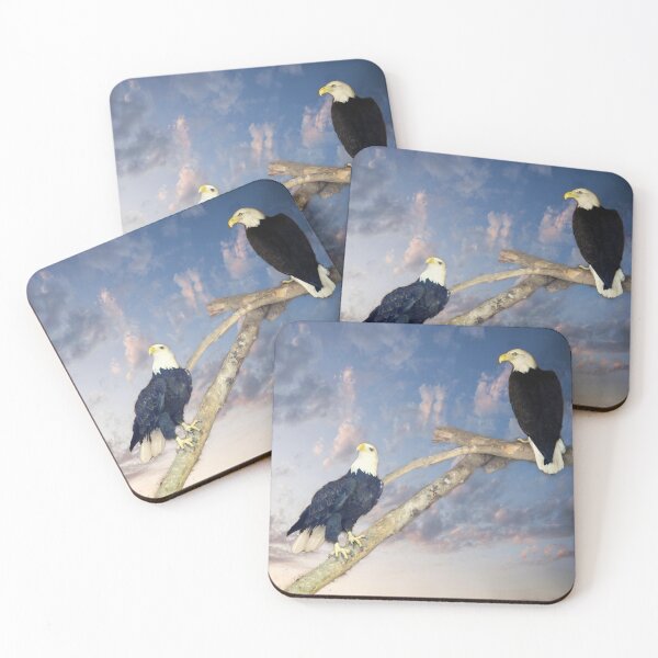 Item preview, Eagle Brothers in Rehab designed and sold by PhotosBySusanne.