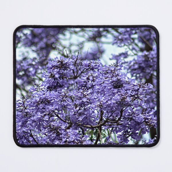Item preview, Flowering Jacaranda Tree Branch Blooming Spring Flowers  designed and sold by Anna Lemos.