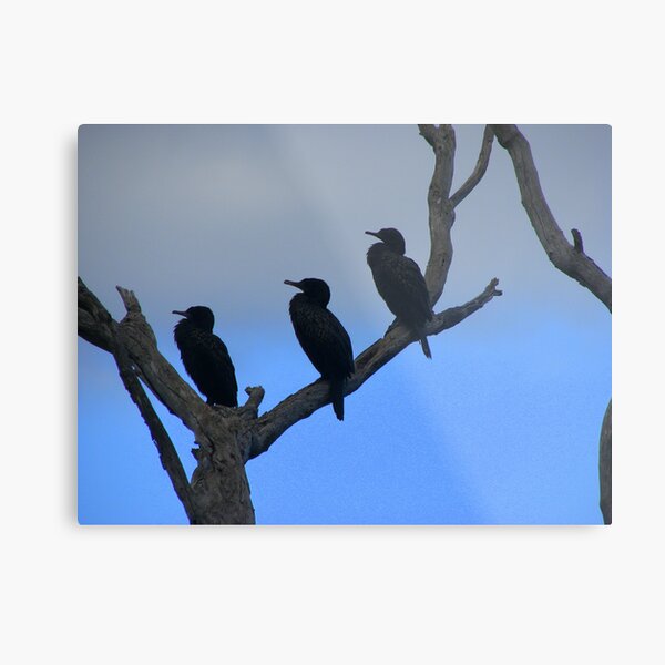 THREE Metal Print