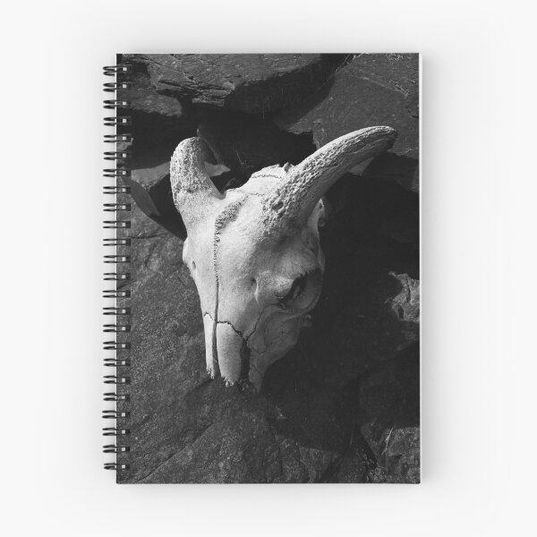 Item preview, Ram Skull designed and sold by saffervision.
