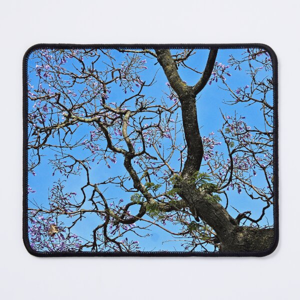 Item preview, Jacaranda Tree Branch Blooming Spring designed and sold by Anna Lemos.