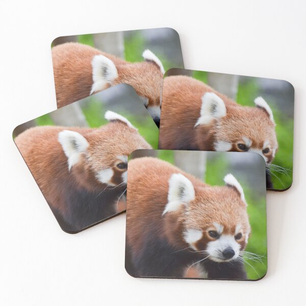 Item preview, Red Panda designed and sold by Ksswaden.