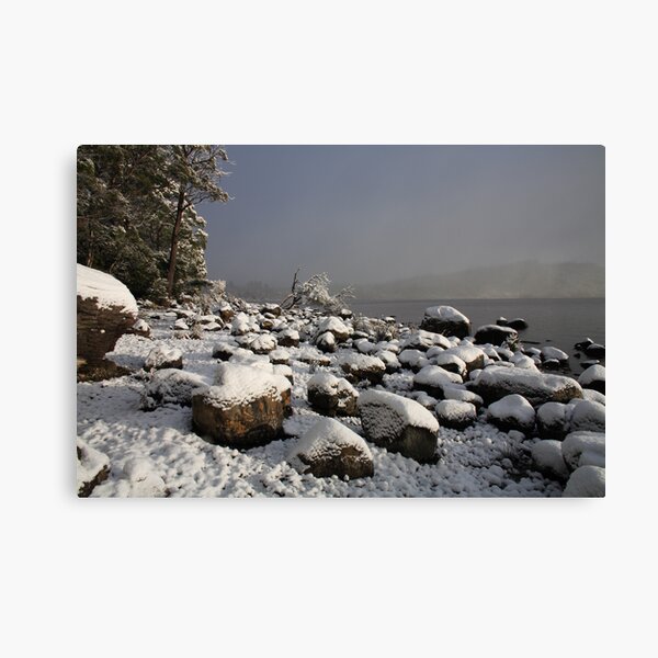 Lake St CLair 2, Tasmania Canvas Print