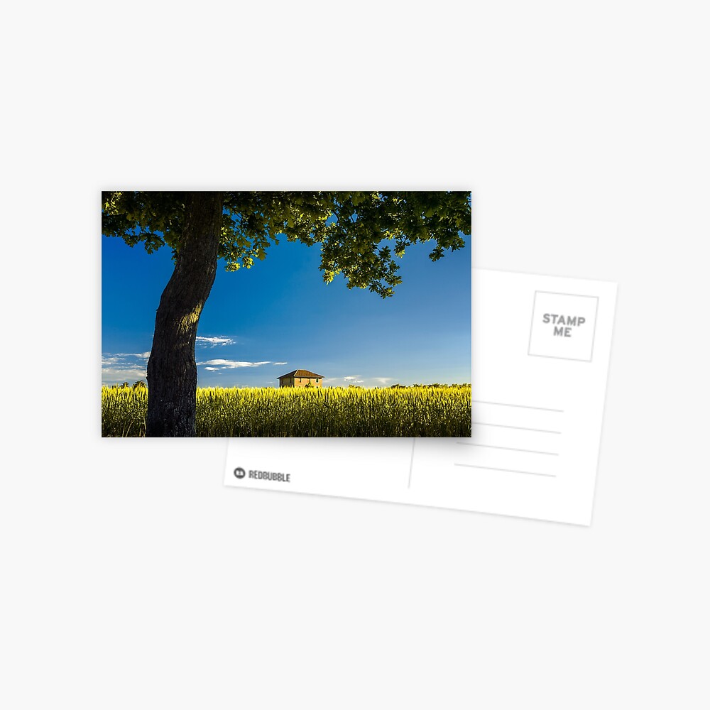 Item preview, Postcard designed and sold by Livius.