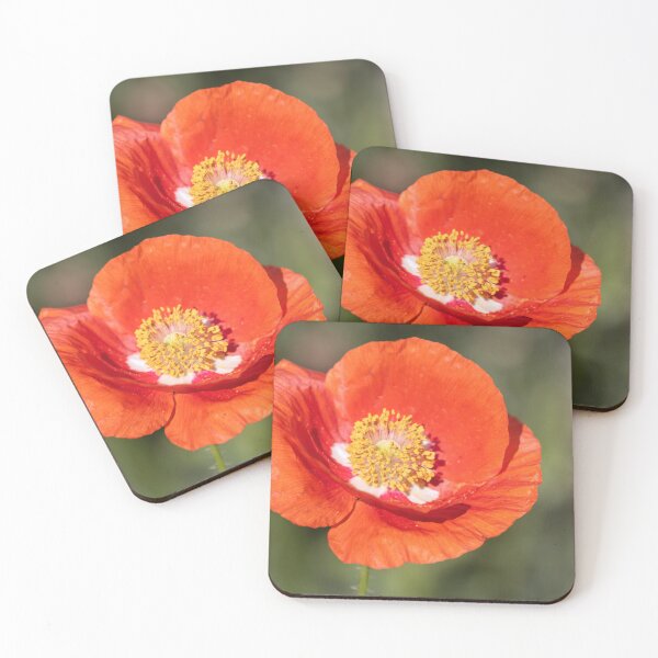 Item preview, Shirley Poppy 2019-5 designed and sold by Thomasyoung.