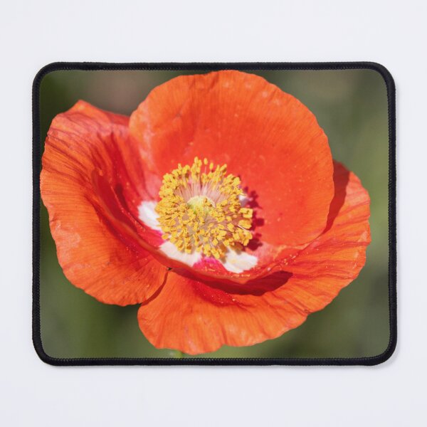 Item preview, Shirley Poppy 2019-5 designed and sold by Thomasyoung.