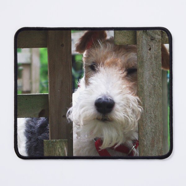 Item preview, Don't blame me, I was framed! designed and sold by rvjames.