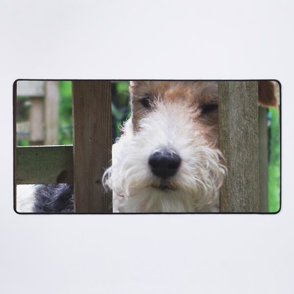 Item preview, Don't blame me, I was framed! designed and sold by rvjames.