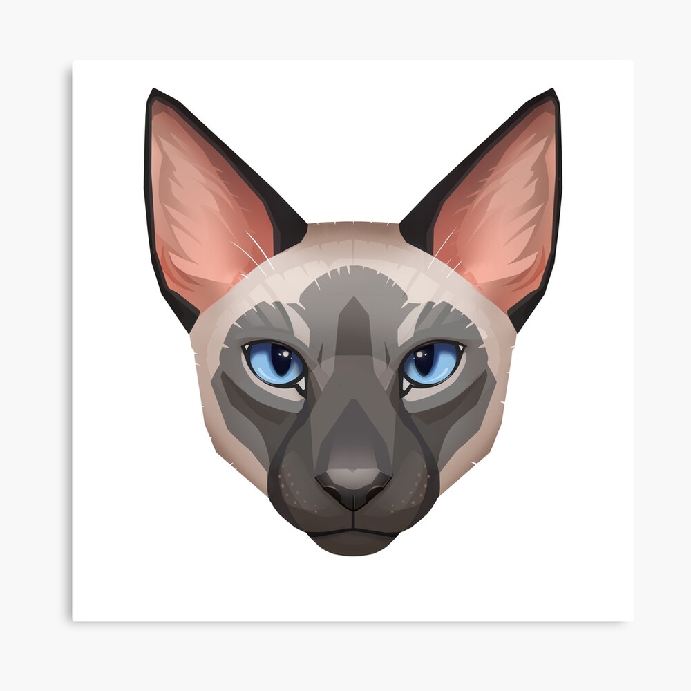 siamese cat face