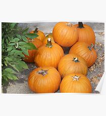 Jack-O-Lantern Auditions Poster