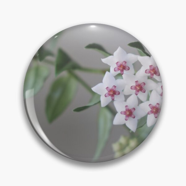 Item preview, Hoya Bella designed and sold by ztrnorge.