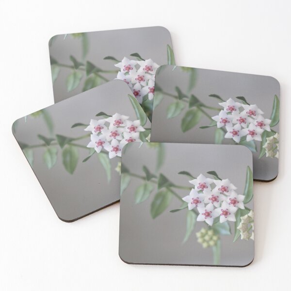 Item preview, Hoya Bella designed and sold by ztrnorge.