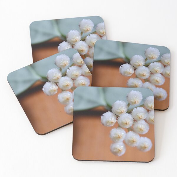 Item preview, Hoya Khroniana designed and sold by ztrnorge.
