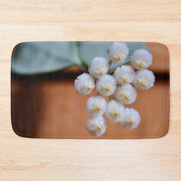 Item preview, Hoya Khroniana designed and sold by ztrnorge.
