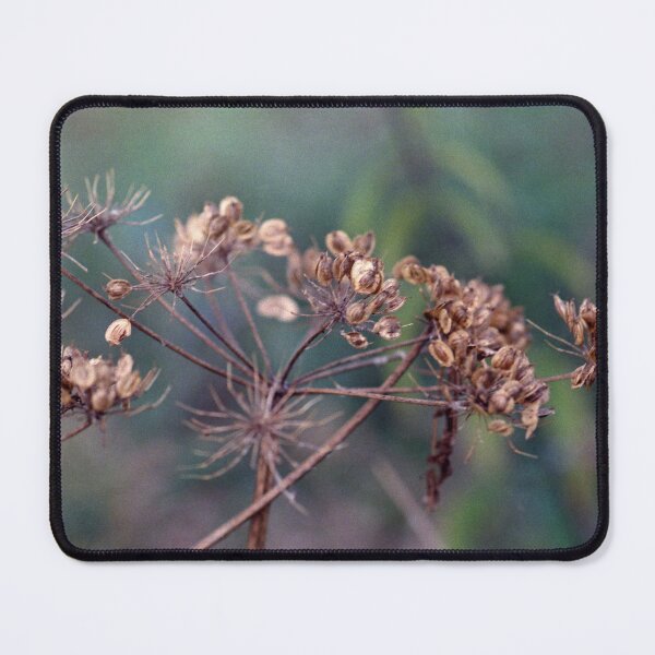 Item preview, Feels like fall designed and sold by Debjaphotography.