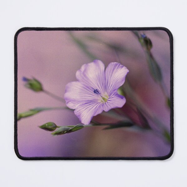 Item preview, Purple Flower designed and sold by Debjaphotography.