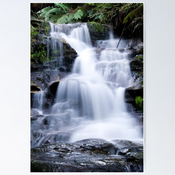 Item preview, Leura Cascades - Blue Mountains, NSW, Australia designed and sold by Gayle Shaw.