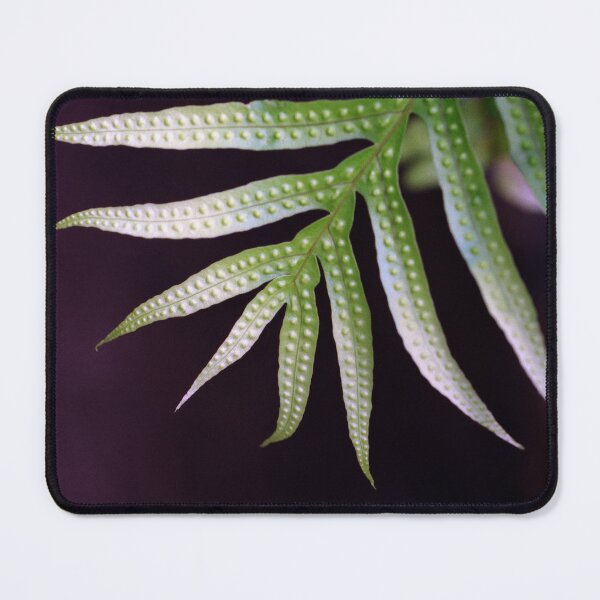 Item preview, Fern designed and sold by Debjaphotography.