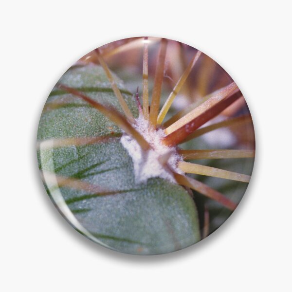 Item preview, Ferocactus Diguetii Macro  designed and sold by Debjaphotography.