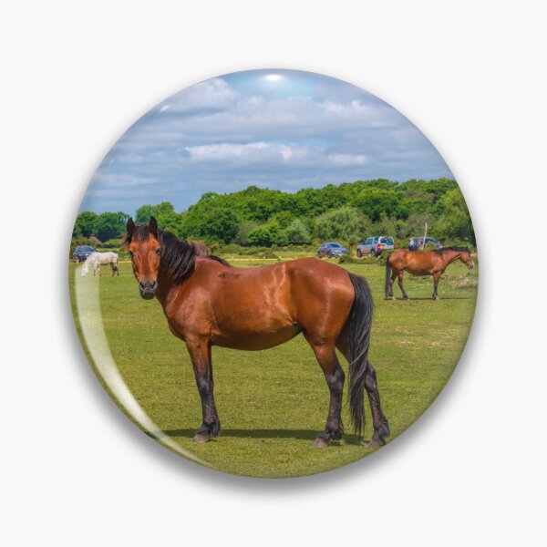 Item preview, New Forest Pony Looking to Camera Hampshire England UK designed and sold by acceleratorhams.