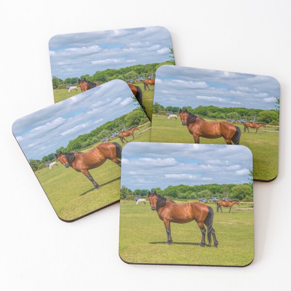 Item preview, New Forest Pony Looking to Camera Hampshire England UK designed and sold by acceleratorhams.