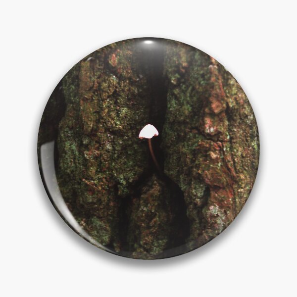 Item preview, Tiny mushroom, Massive tree designed and sold by Debjaphotography.