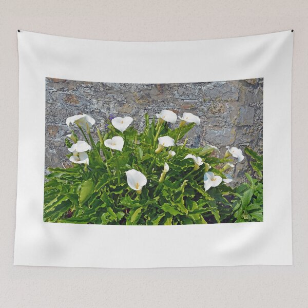 Item preview, Callas For Everybody designed and sold by Alexandra Lavizzari.