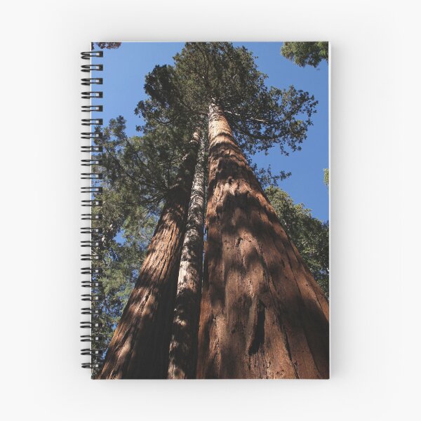 Item preview, Tree Tops designed and sold by acrprodco.
