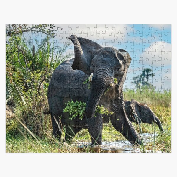 Baby Elephant Jigsaw Puzzles For Sale Redbubble