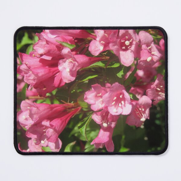 Item preview, Pink Flowers designed and sold by Shulie1.