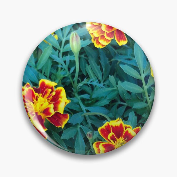 Artikelvorschau, Marigold picture entworfen und verkauft von Phoebew03.