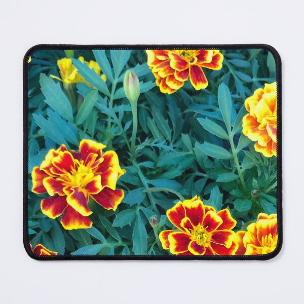 Item preview, Marigold picture designed and sold by Phoebew03.