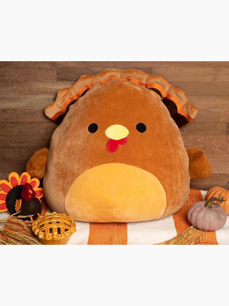 terry turkey squishmallow