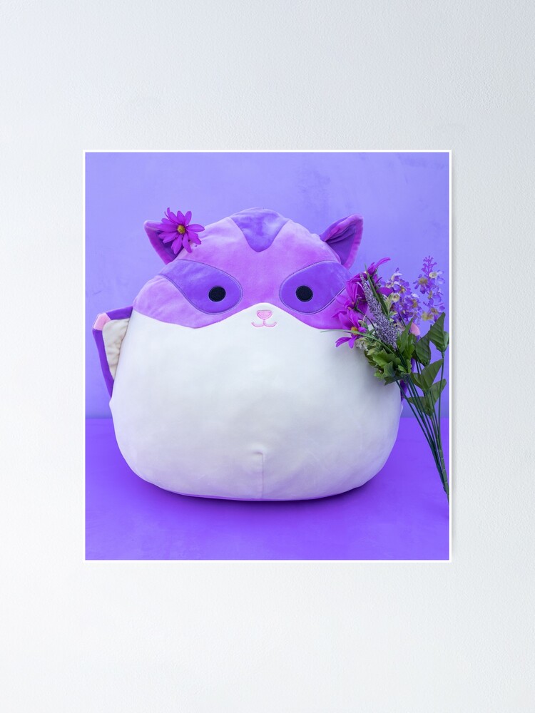 learning express sugar glider squishmallow