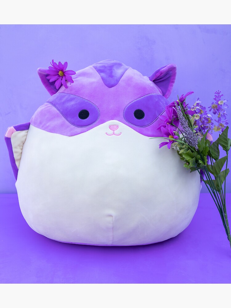 joy sugar glider squishmallow