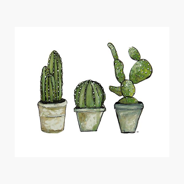 Get Coole kaktus sprueche For iPhone