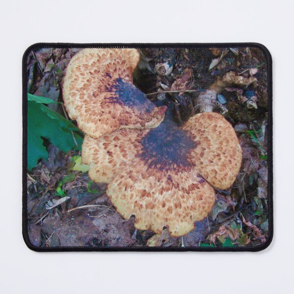 Item preview, Fungus designed and sold by Shulie1.