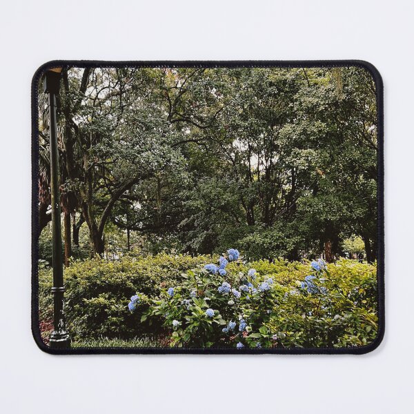Item preview, Hydrangeas in Forsyth Park (6/2/22) designed and sold by Gannon Sallach.