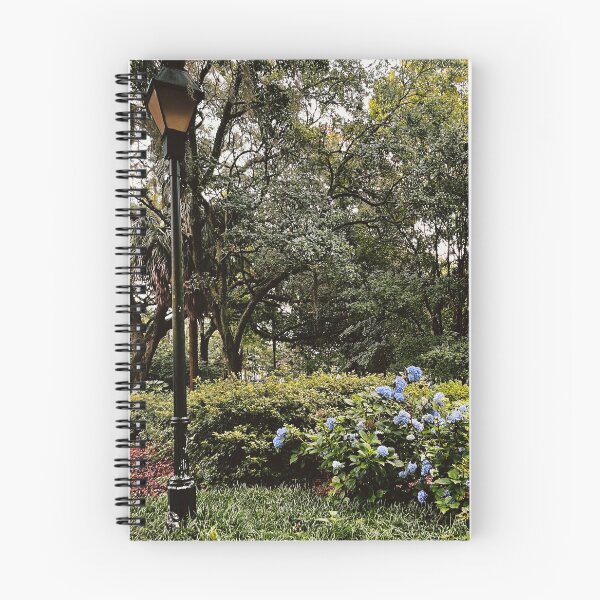 Item preview, Hydrangeas in Forsyth Park (6/2/22) designed and sold by Gannon Sallach.