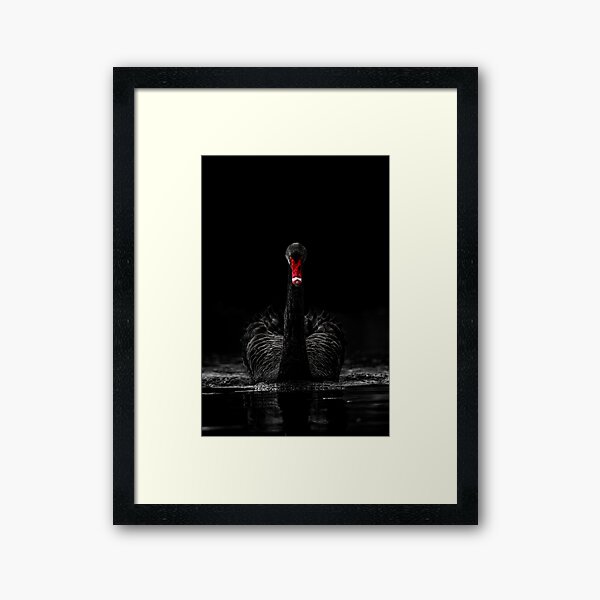 Vista previa del artículo con la obra «Cisne negro - Clave baja», diseñado y vendido por George Wheelhouse.