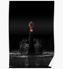 Black Swan - Low Key Poster