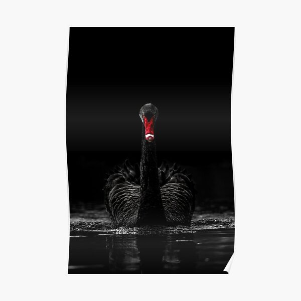 Black Swan - Low Key Poster