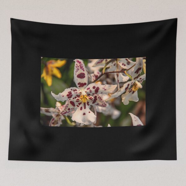 Item preview, USA. Pennsylvania. Philadelphia Flower Show 2017. Polka Dot Orchids. designed and sold by vadim19.