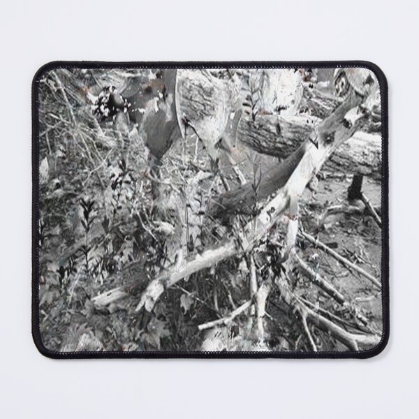 Item preview, Apple Trees designed and sold by Ming  Myaskovsky.