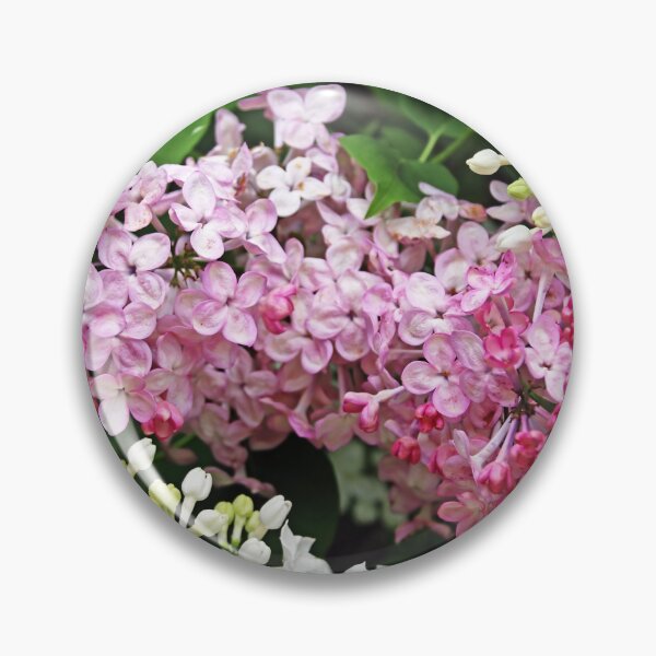 Artikelvorschau, Simply Beautiful Lilacs entworfen und verkauft von Deb Oppermann.