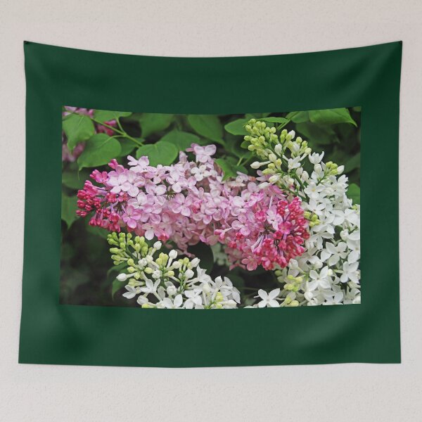 Item preview, Simply Beautiful Lilacs designed and sold by Deb Oppermann.