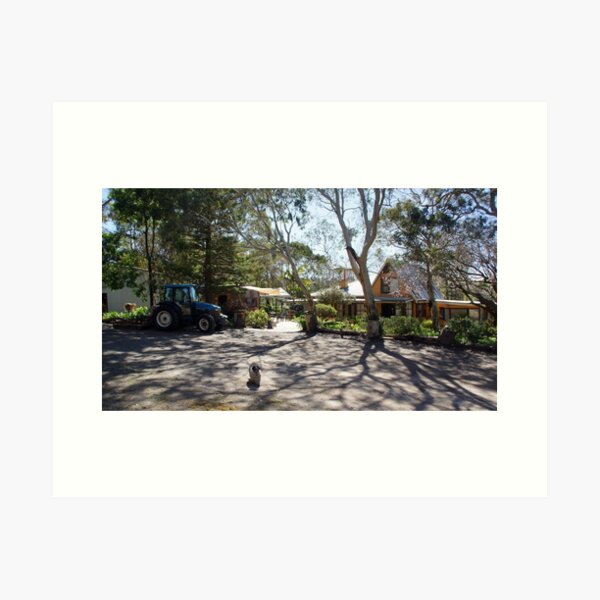 Item preview, Magpie Springs - House Garden, Cellar door and Art Gallery by Avril Thomas designed and sold by MagpieSprings.