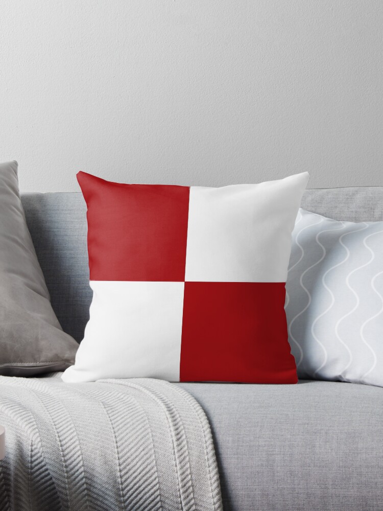 red and white checkered pillows