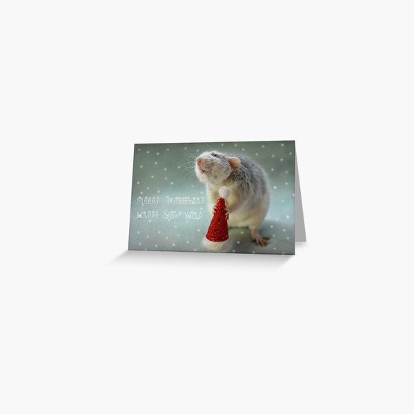 Merry Christmas and Happy new year! Greeting Card
